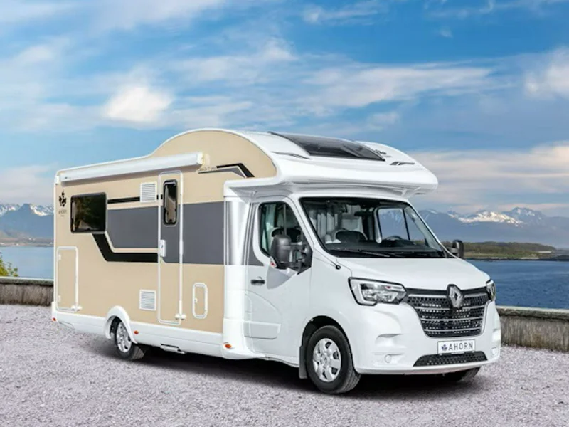 Ahorn Canada TF Plus - Eichhörnchen