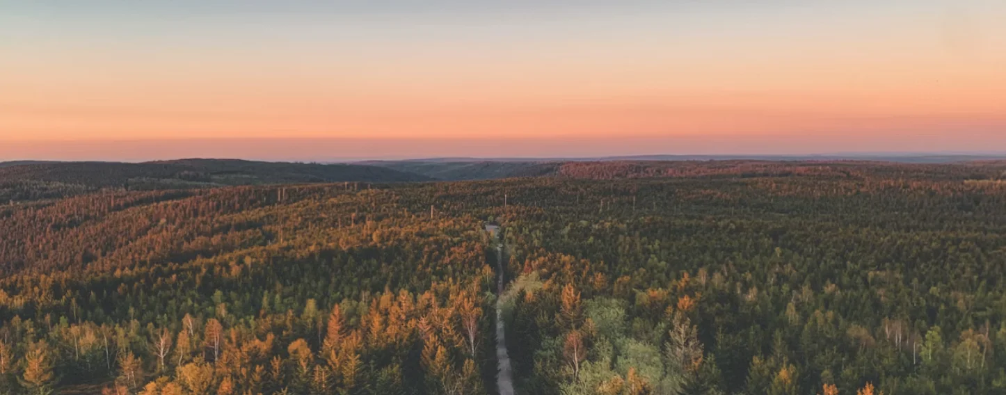 Die schönsten Wohnmobil-Routen im Schwarzwald