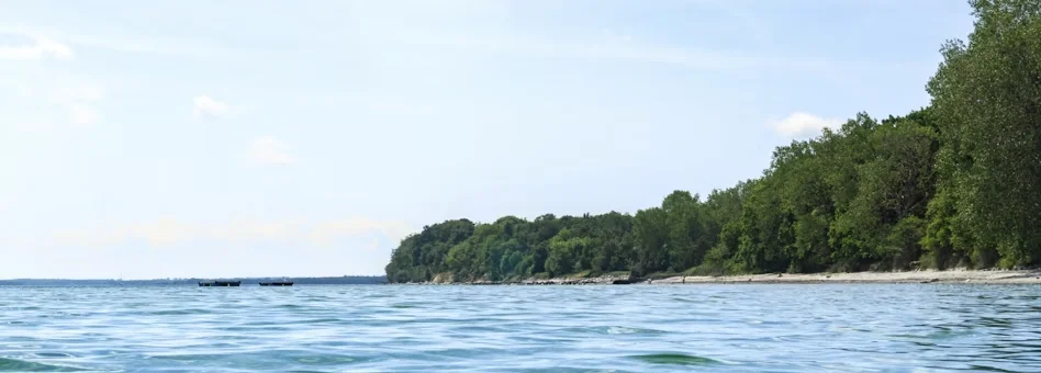Urlaub in Dänemark: Nordsee oder Ostsee?